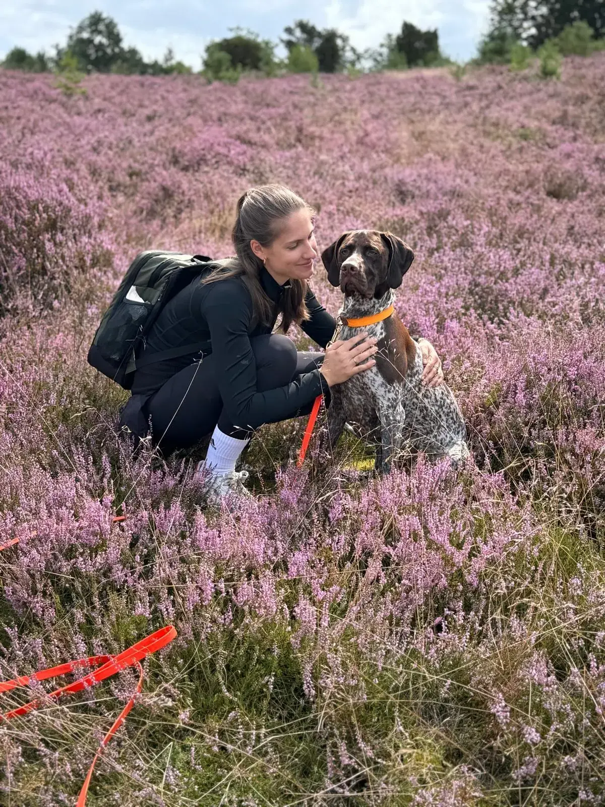 Hund und Halterin in der blühenden Lüneburger Heide